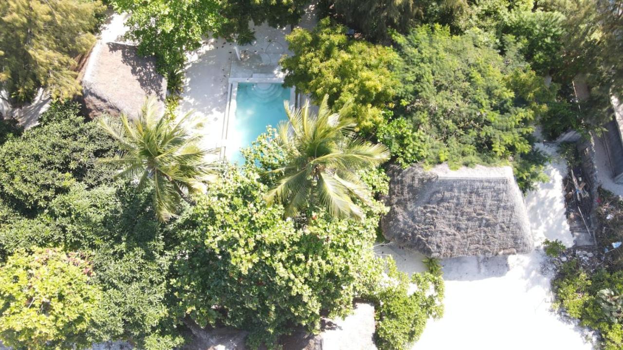 Garden Beach Bungalows Jambiani Jambiani  Zewnętrze zdjęcie