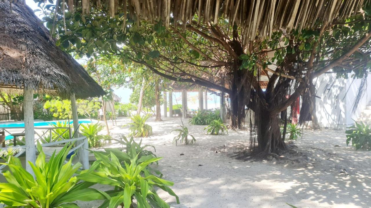 Garden Beach Bungalows Jambiani Jambiani  Zewnętrze zdjęcie