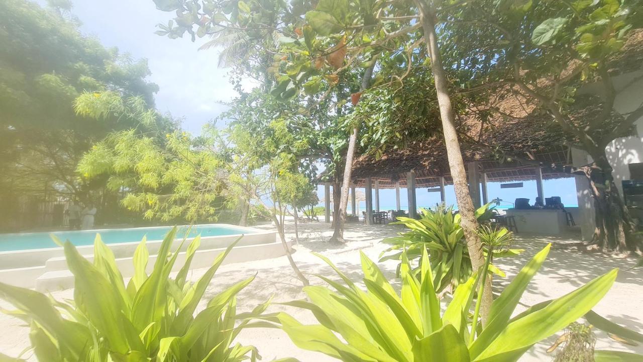 Garden Beach Bungalows Jambiani Jambiani  Zewnętrze zdjęcie